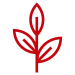 plant icon