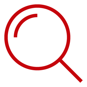 magnifying glass icon